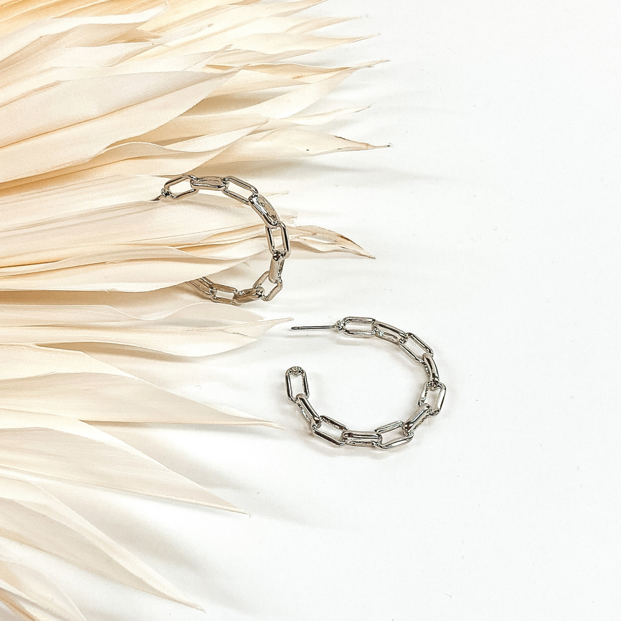 These are a silver paperclip chain hoop earrings. These earrings are pictured on a white background with white palm leaves.