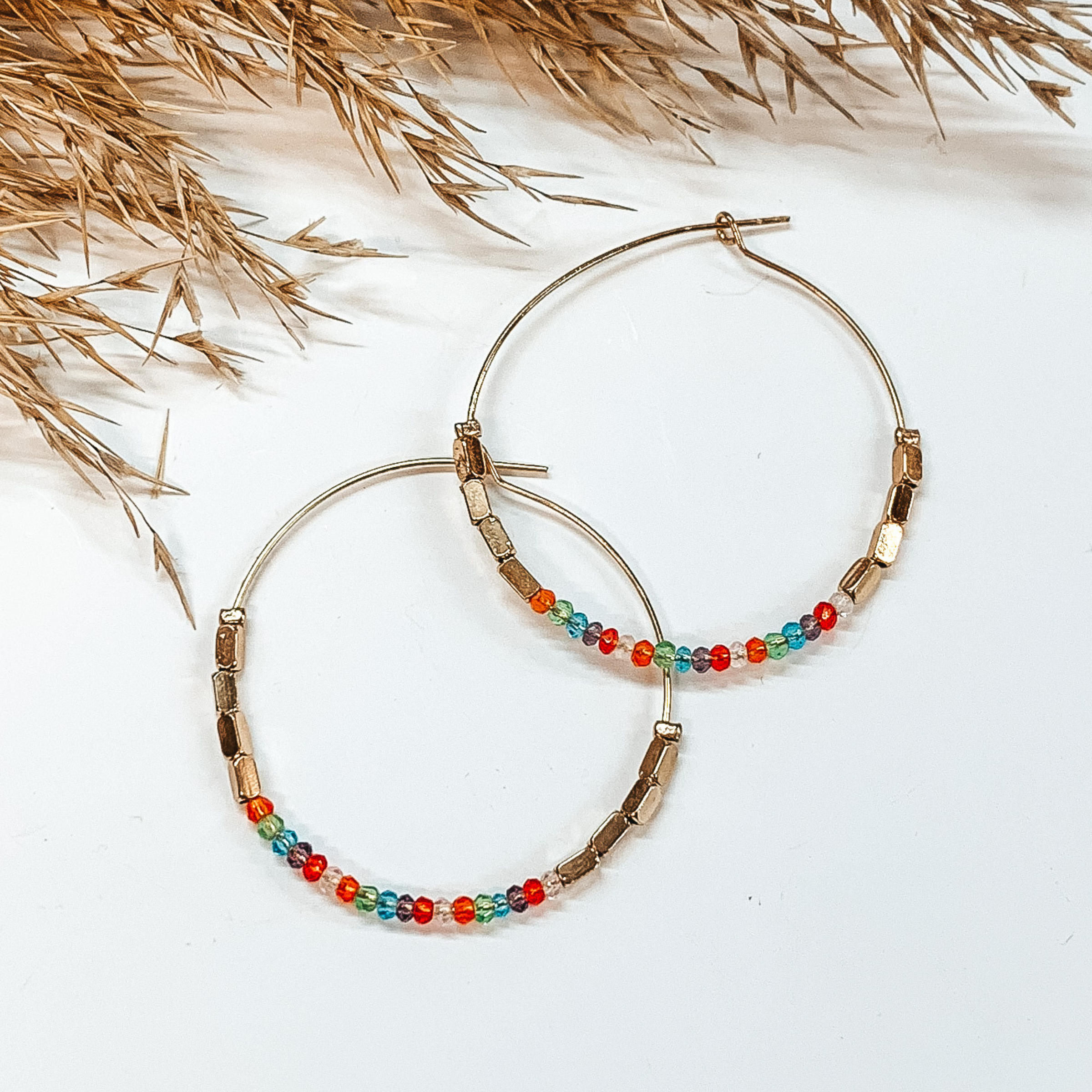 Gold hoops with multicolored beads in the bottom  part with four long gold beads on each side.  Multicolored beads in orange, green, turquoise,  purple, red, and clear. Taken in a white  background with a brown plant as decor.