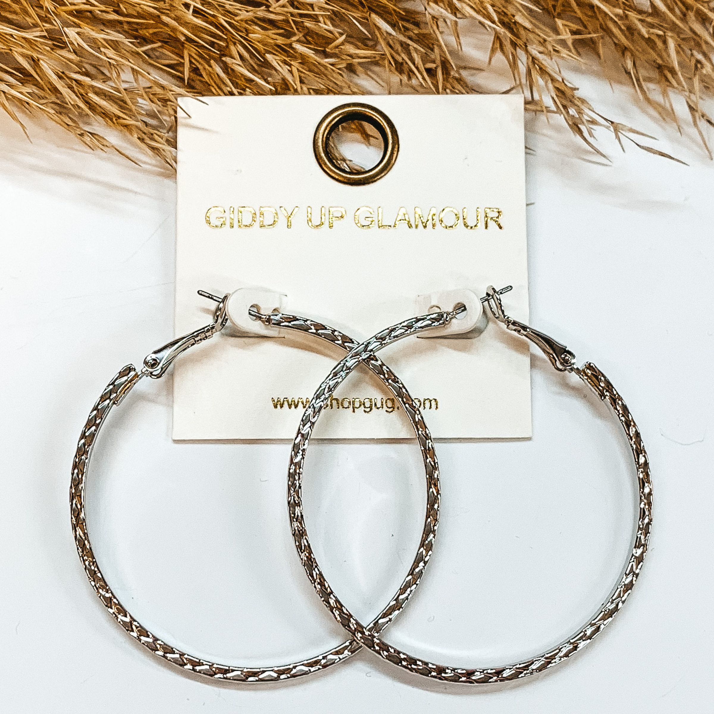 These are diamond textured silver hoops. Taken in a white background with a brown plant as  decor.