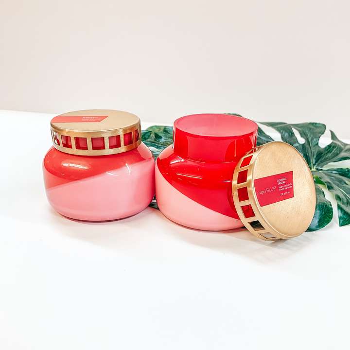 Capri Blue | 8 oz. Petite Jar Candle in Dual Colors | Various Scents - Giddy Up Glamour Boutique