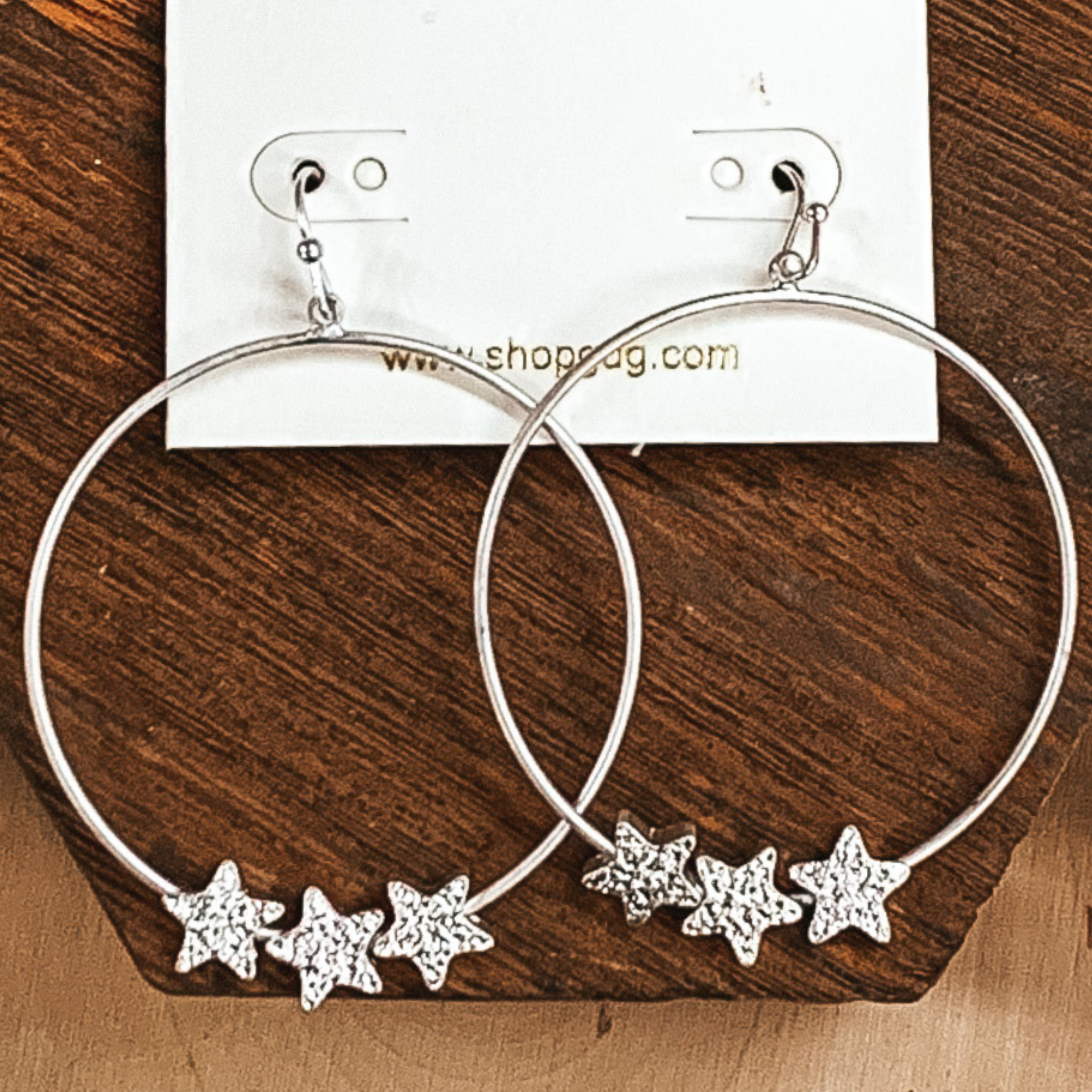 Keeper of The Stars Silver Earrings in Silver - Giddy Up Glamour Boutique