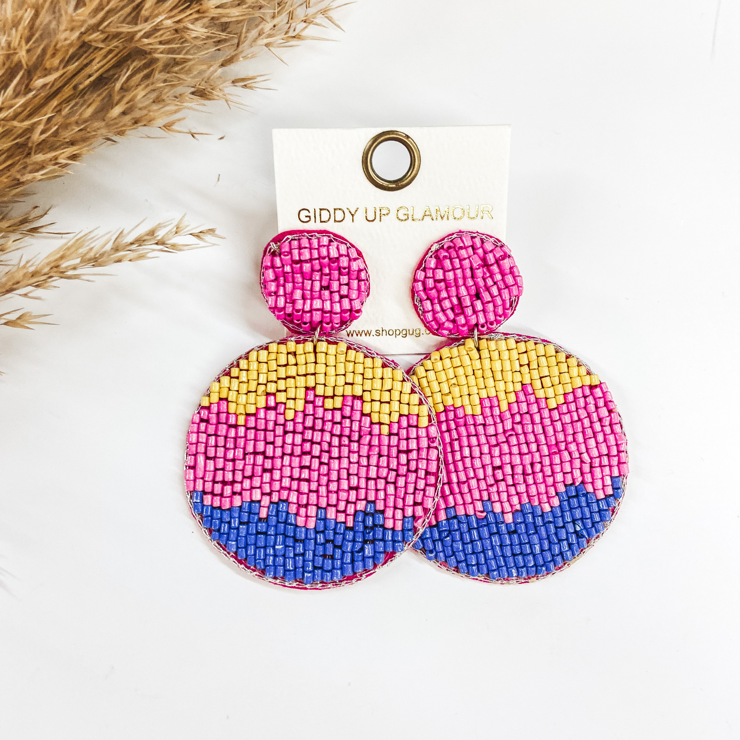 Ombre Circle Drop Post Earrings in Multi - Giddy Up Glamour Boutique