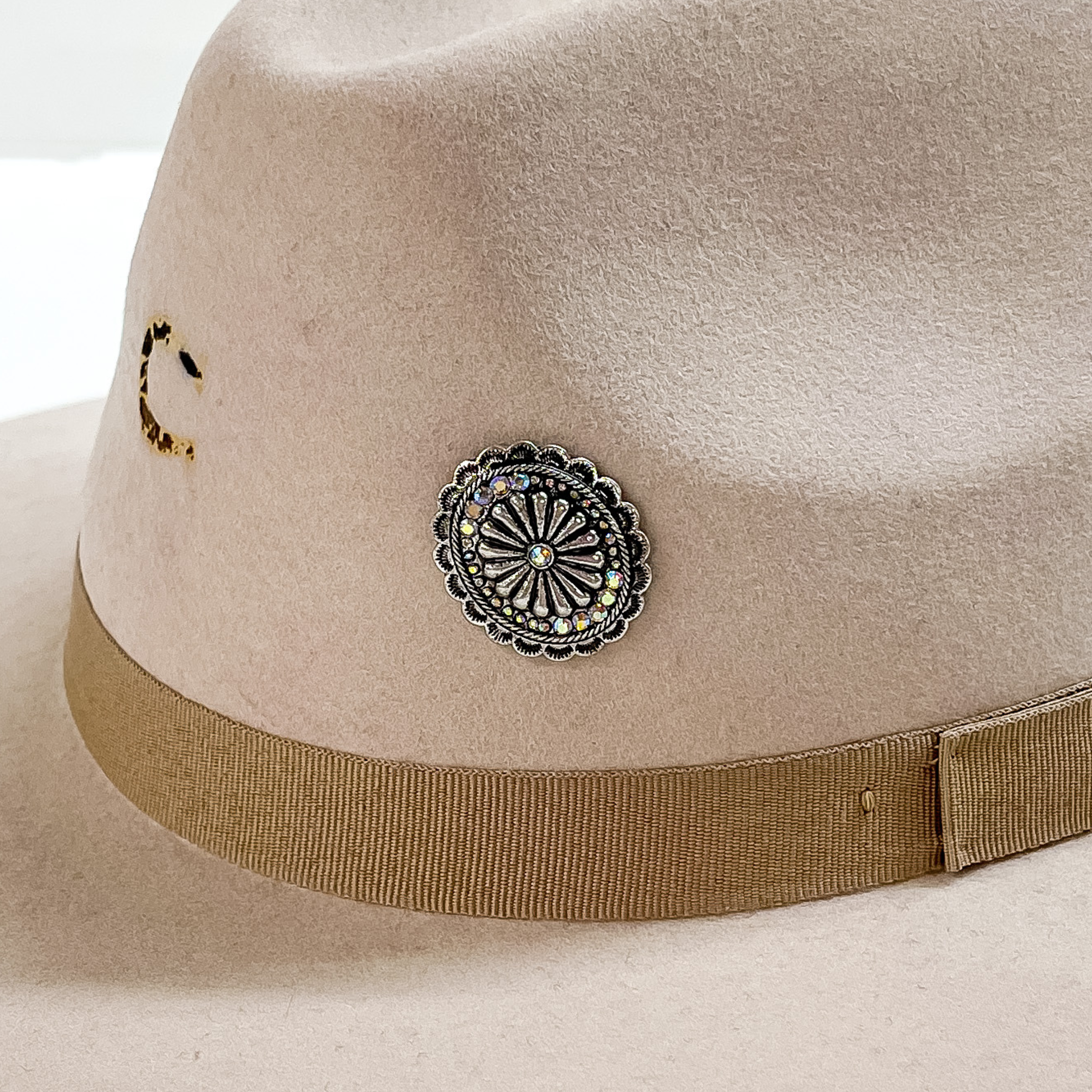 Silver, oval concho with ab crystals hat pin. This hat pin is pictured on a beige hat. 