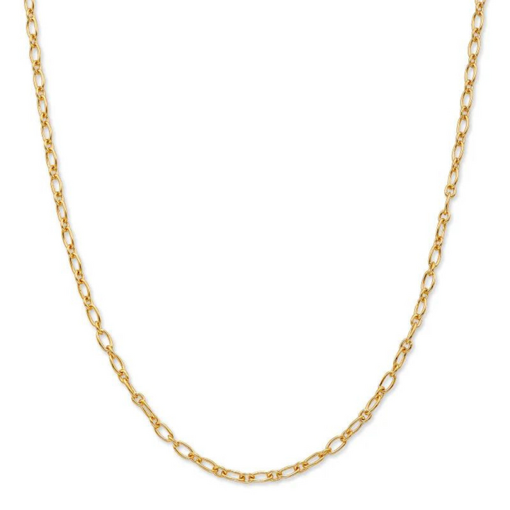 Gold, rolo chain necklace pictured on a white background.