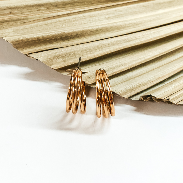 Triple, gold hoop earrings pictured in front a sage green leaf on a white background. 