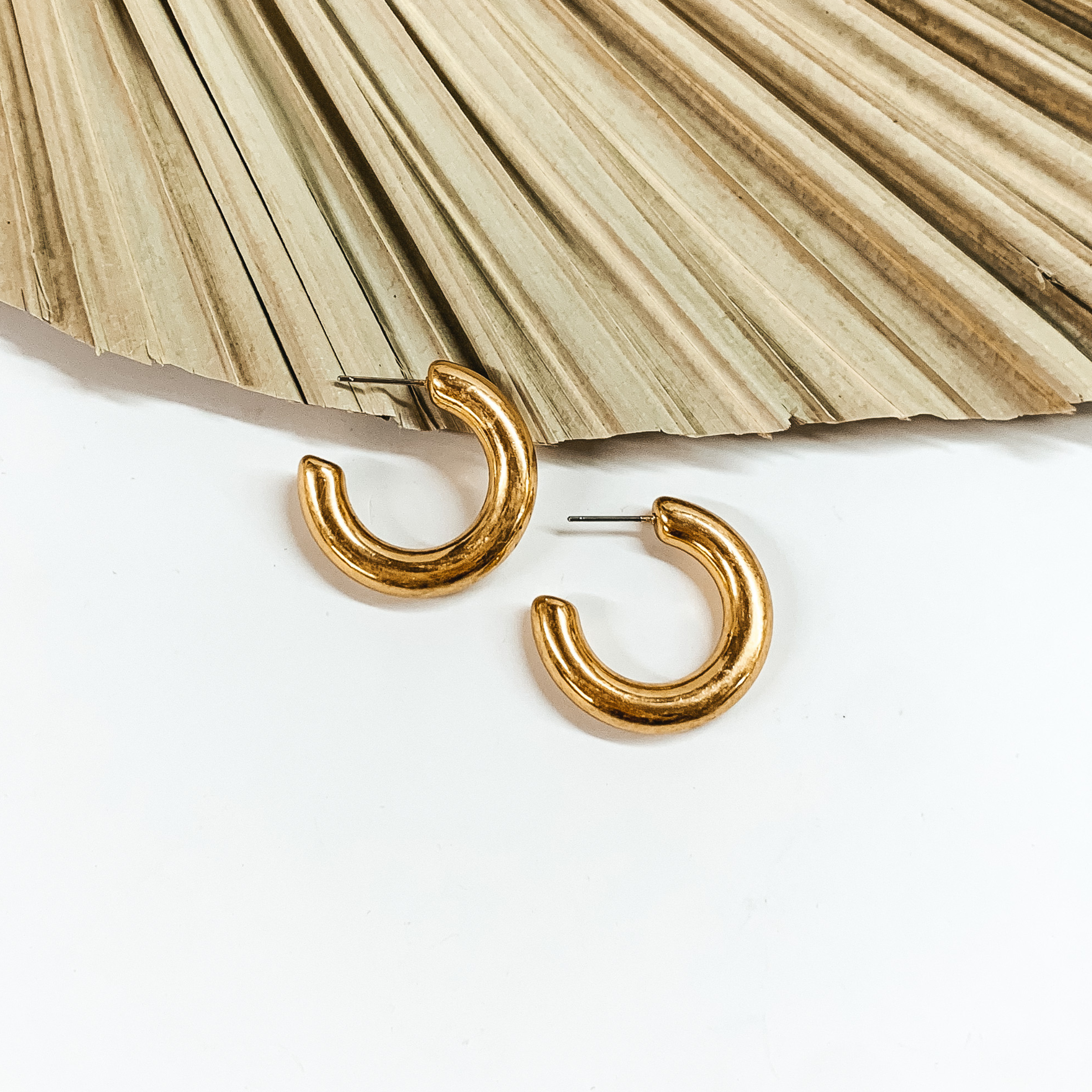 Clean Slate Small Hoop Earrings in Worn Gold Tone - Giddy Up Glamour Boutique