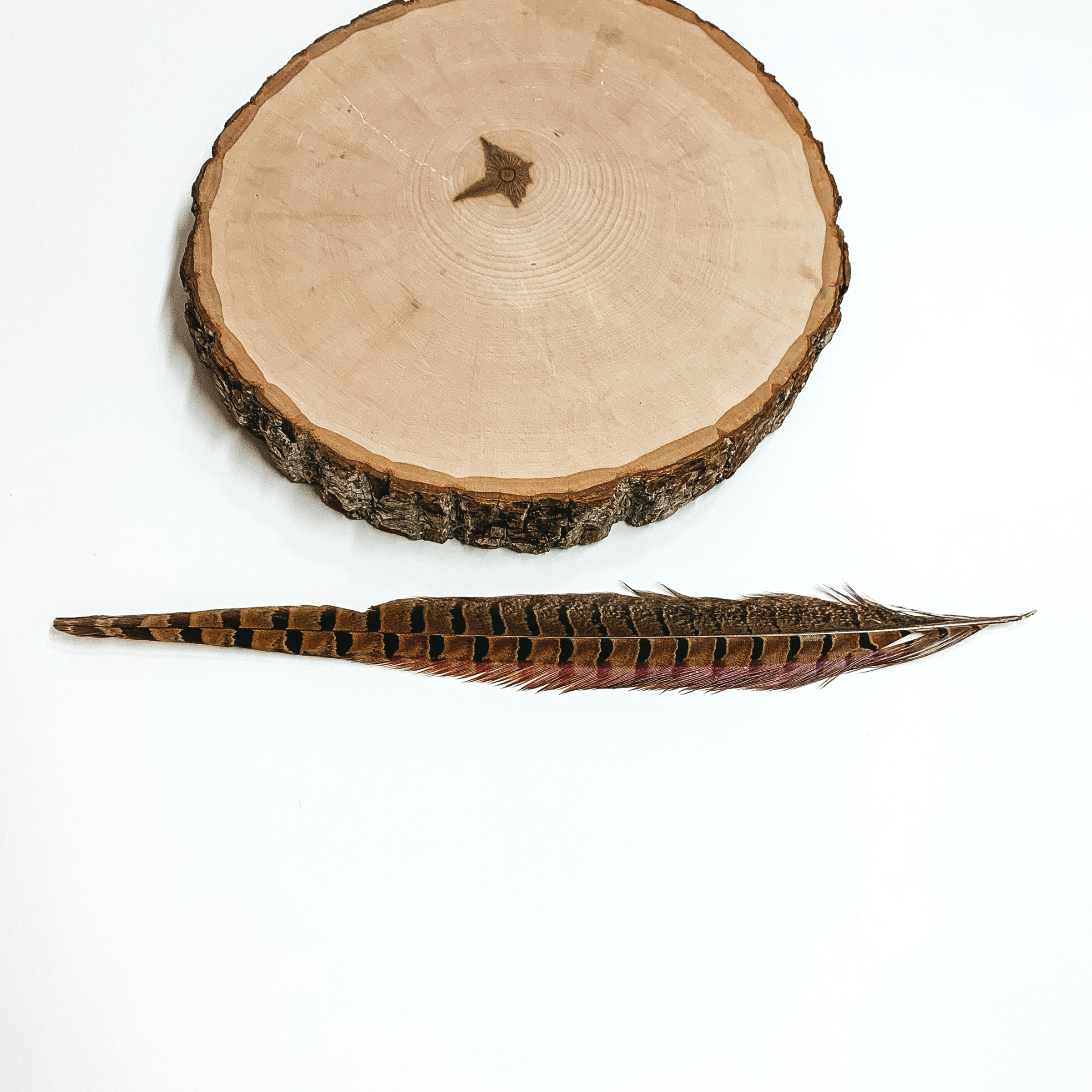 Brown colored feather pictured on a white background with a wood block laying above the feather. 