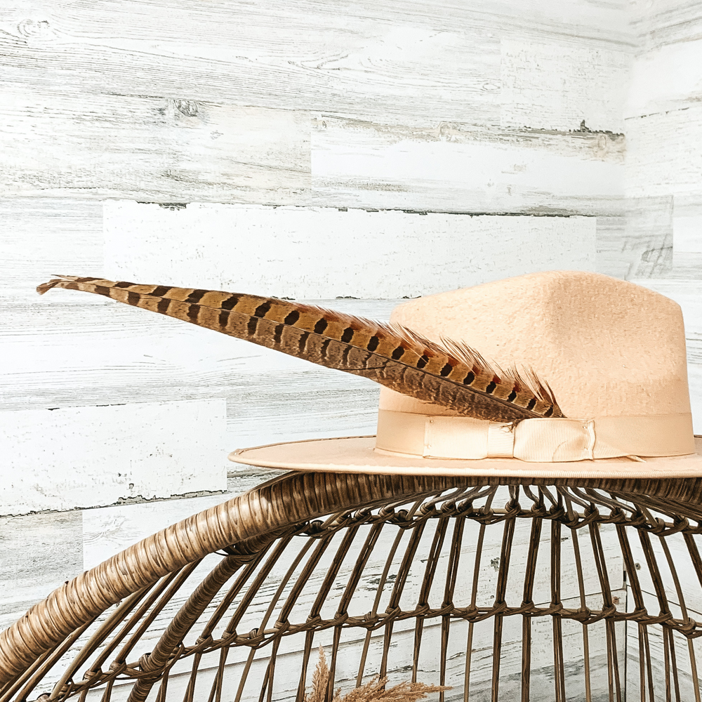 X-Large Feather in Brown - Giddy Up Glamour Boutique