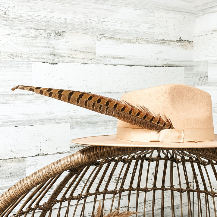 X-Large Feather in Brown - Giddy Up Glamour Boutique