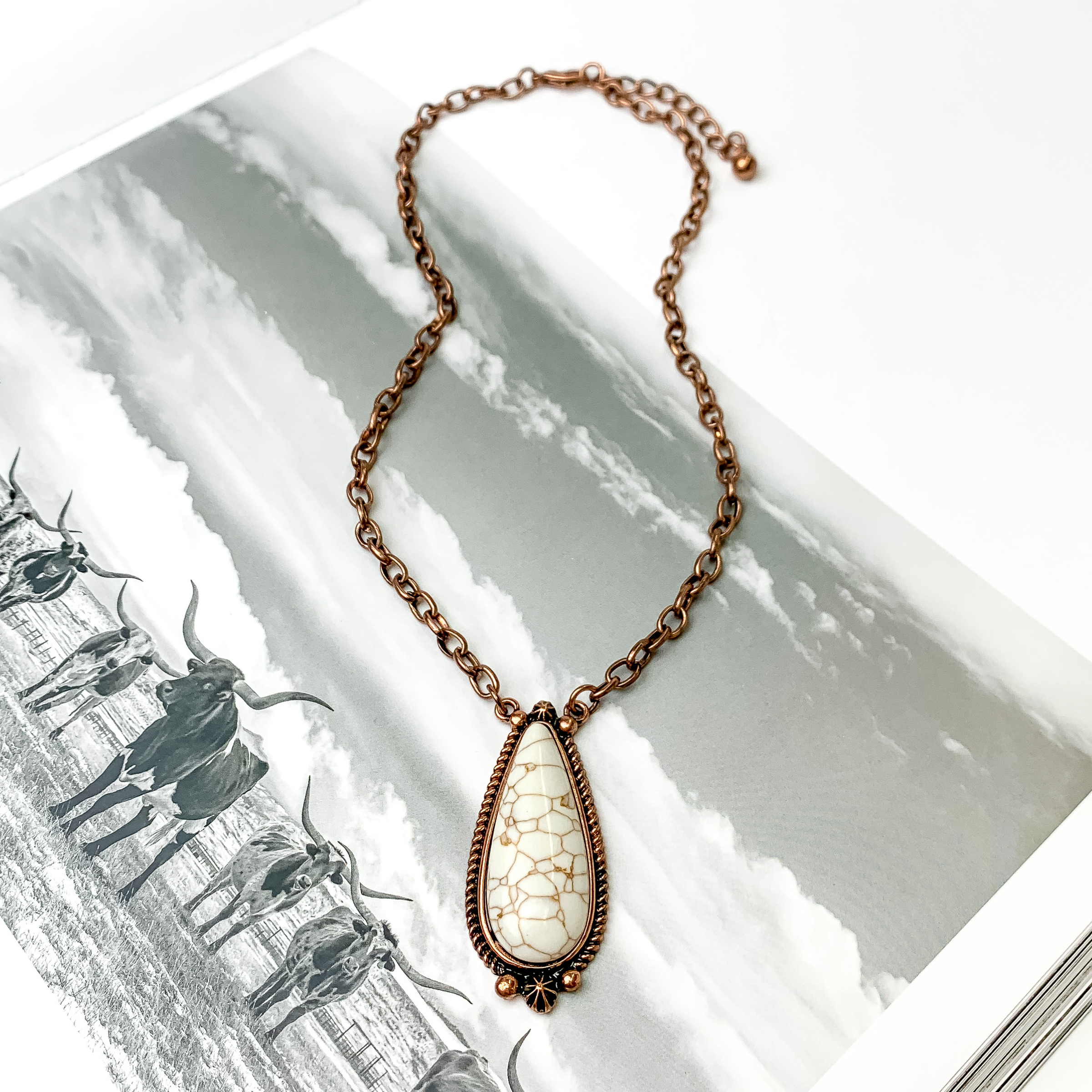 Copper chain necklace with ivory, teardrop stone. The stone also has a copper outline. This necklace is pictured on an open black and white western picture book.