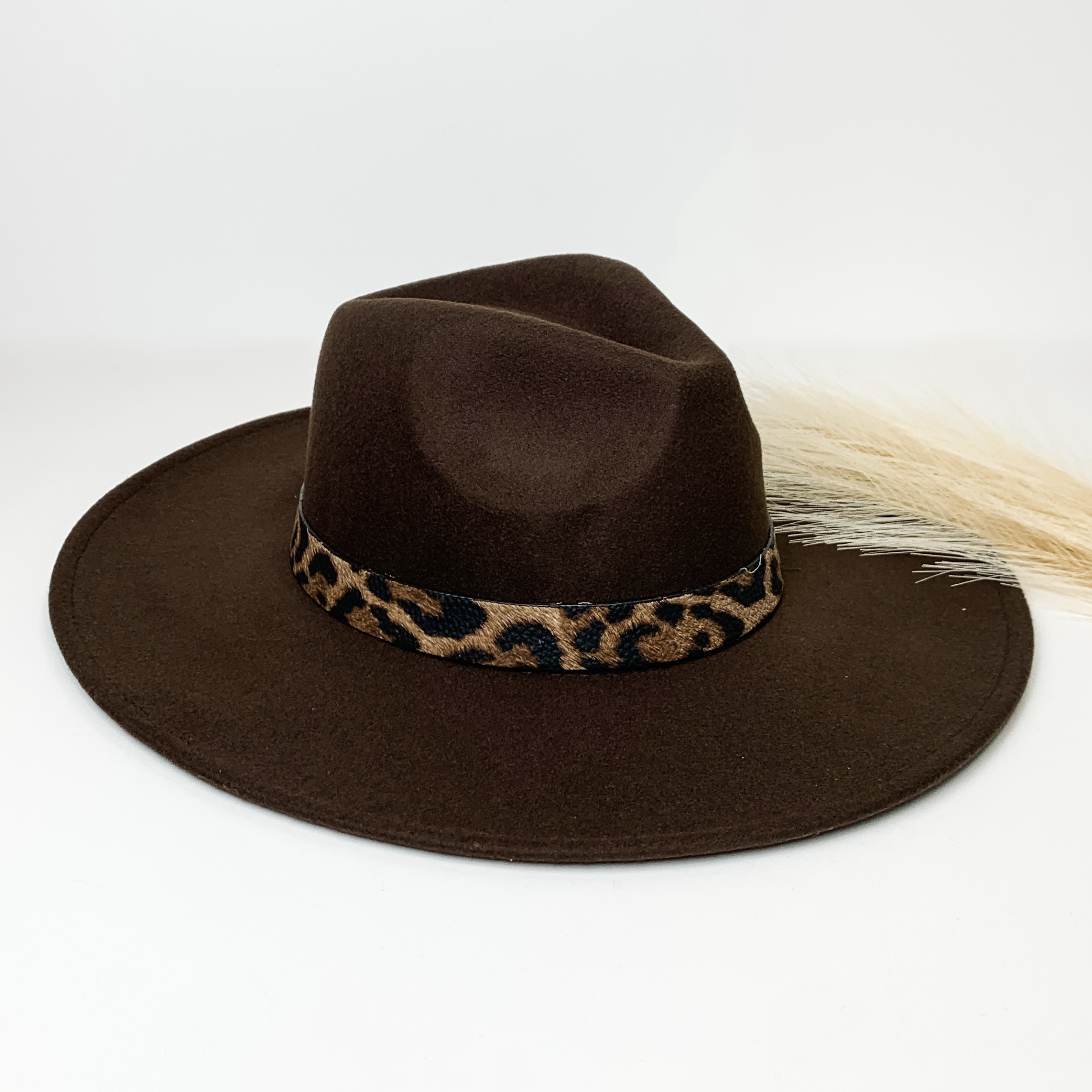 Dark brown flat brim hat with a leopard print hat bad around the crown. This hat is pictured on a white background with ivory pompous grass laying partially on the brim.