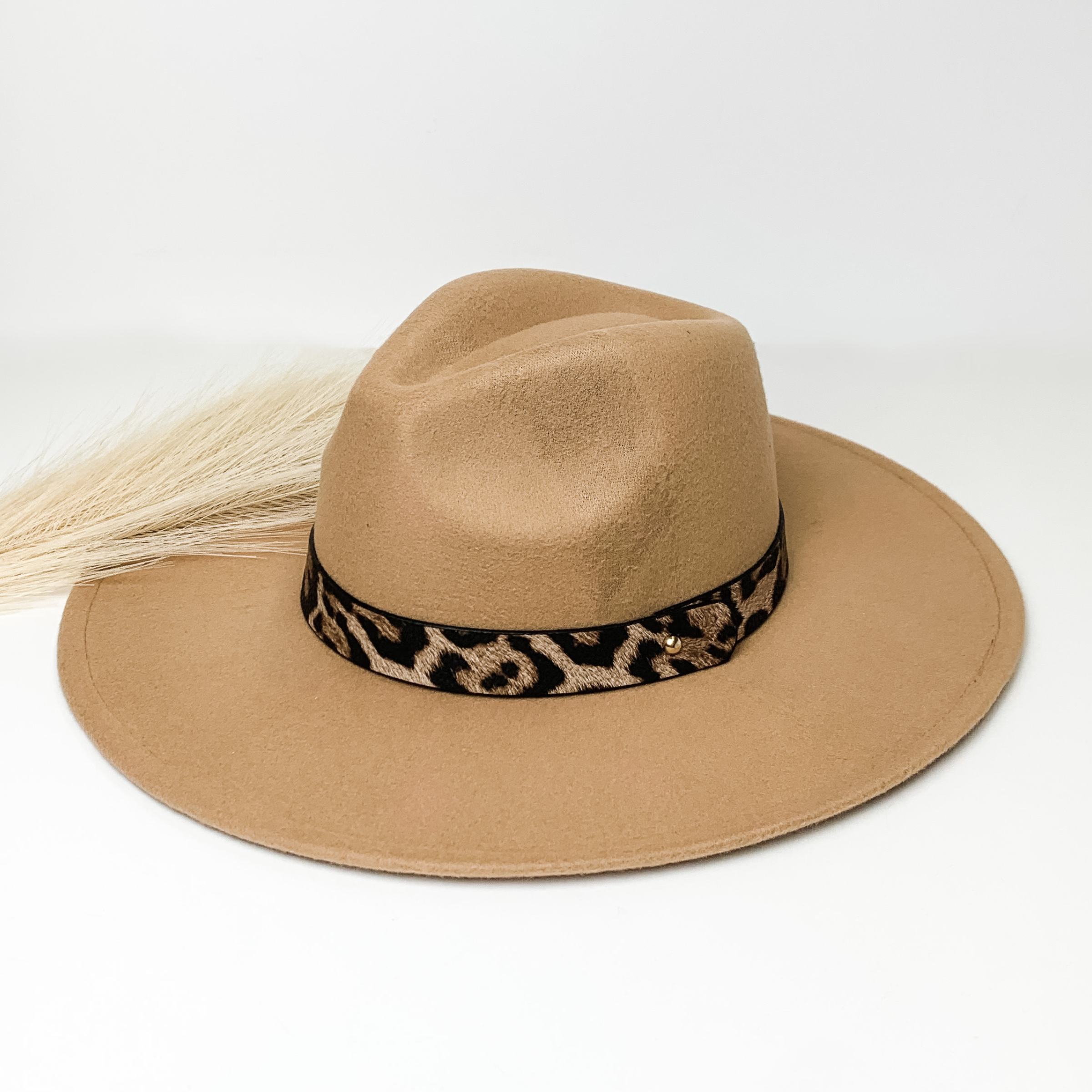 Taupe flat brim hat with a leopard print hat bad around the crown. This hat is pictured on a white background with ivory pompous grass laying partially on the brim.  