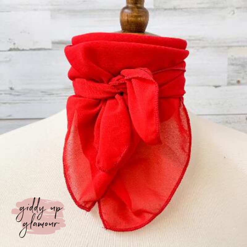 Timeless Approach Sheer Scarf in Red - Giddy Up Glamour Boutique