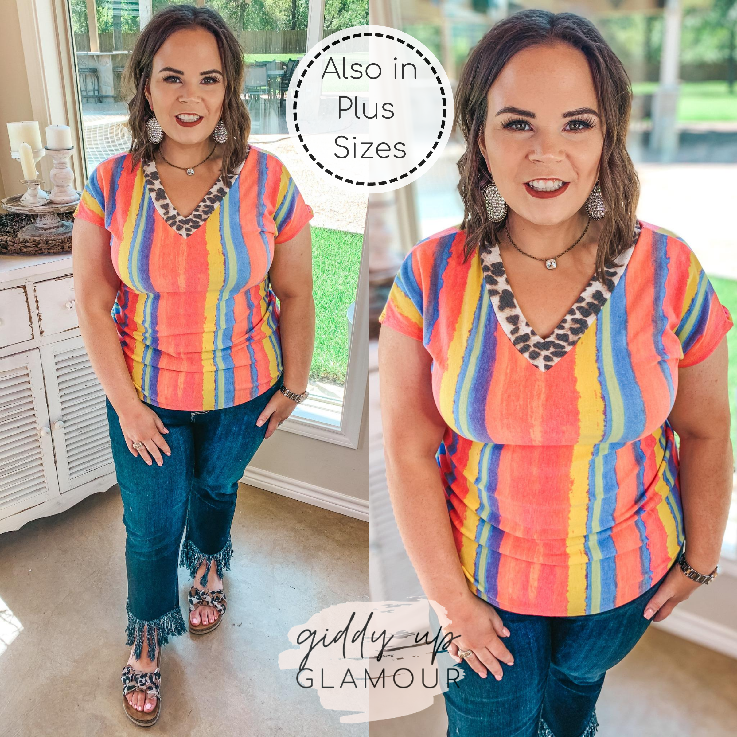 Last Chance Size Small | Levels of My Heart Leopard Trim V Neck Top in Multi Color Stripes
