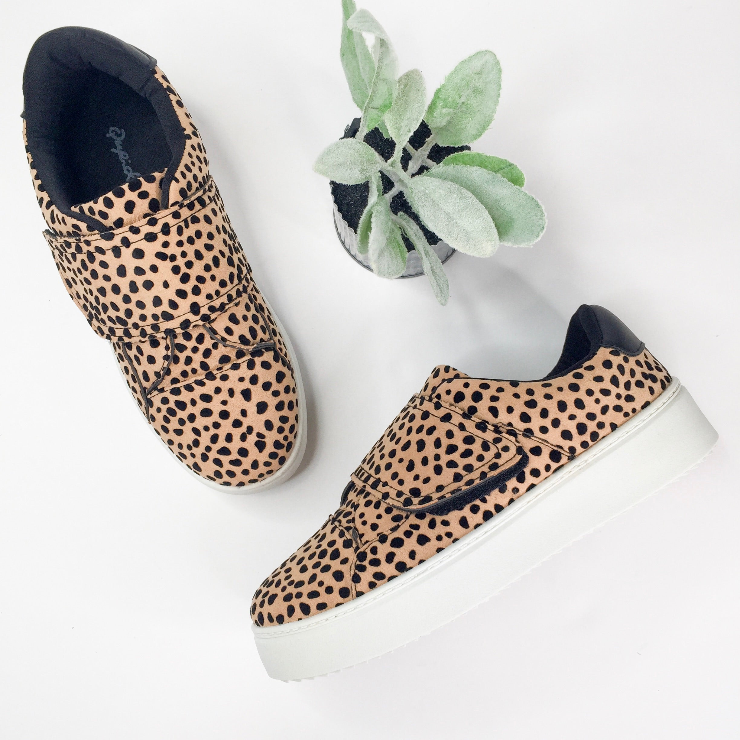 Last Chance 6, 6.5 & 7 | Don't Be Moody Leopard Velcro Platform Sneakers - Giddy Up Glamour Boutique