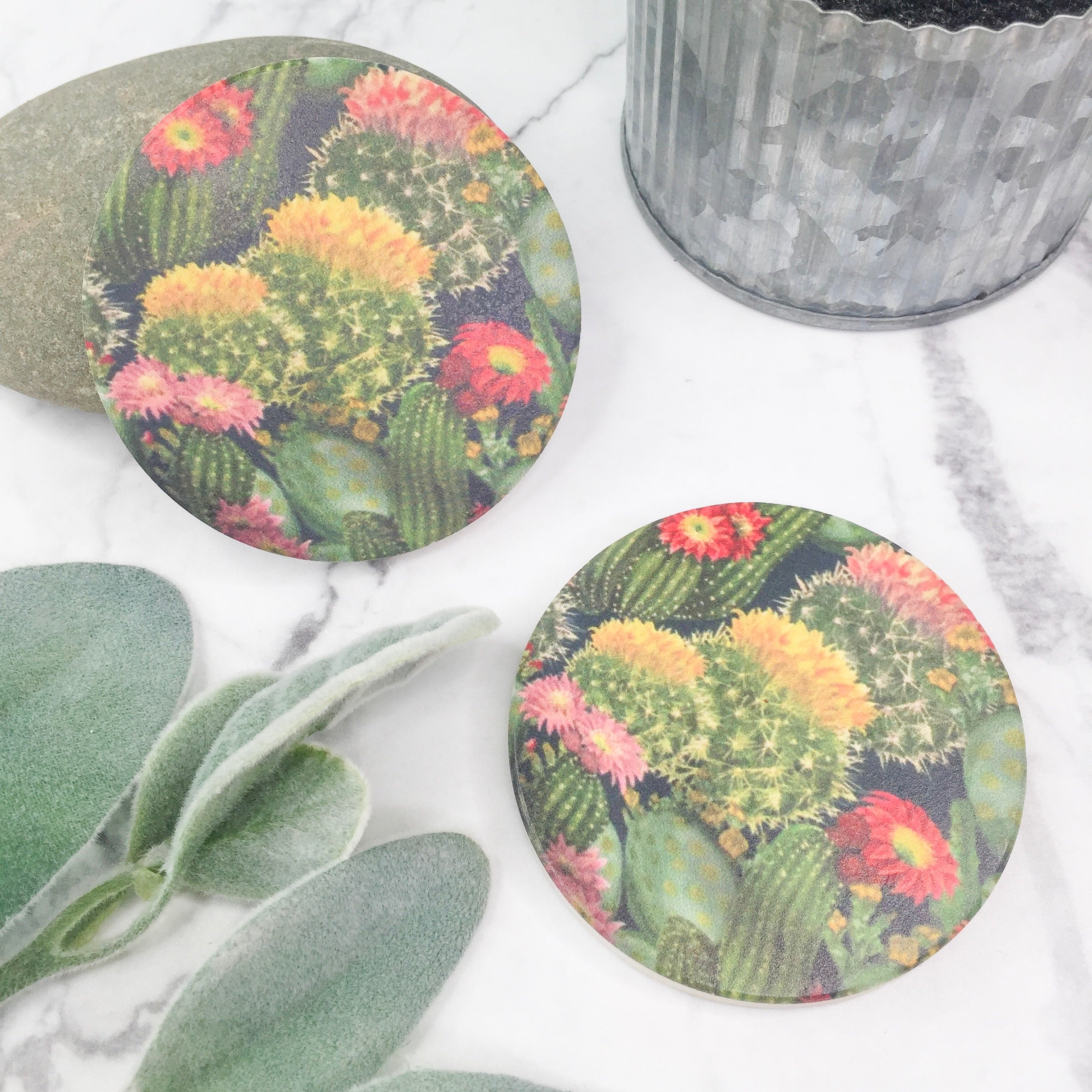 Set of Two | Colorful Cactus Car Coasters